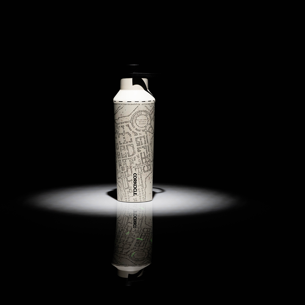 harry-potter-sport-canteen-t4 6063d66029fb--HP-MM-LS1.png