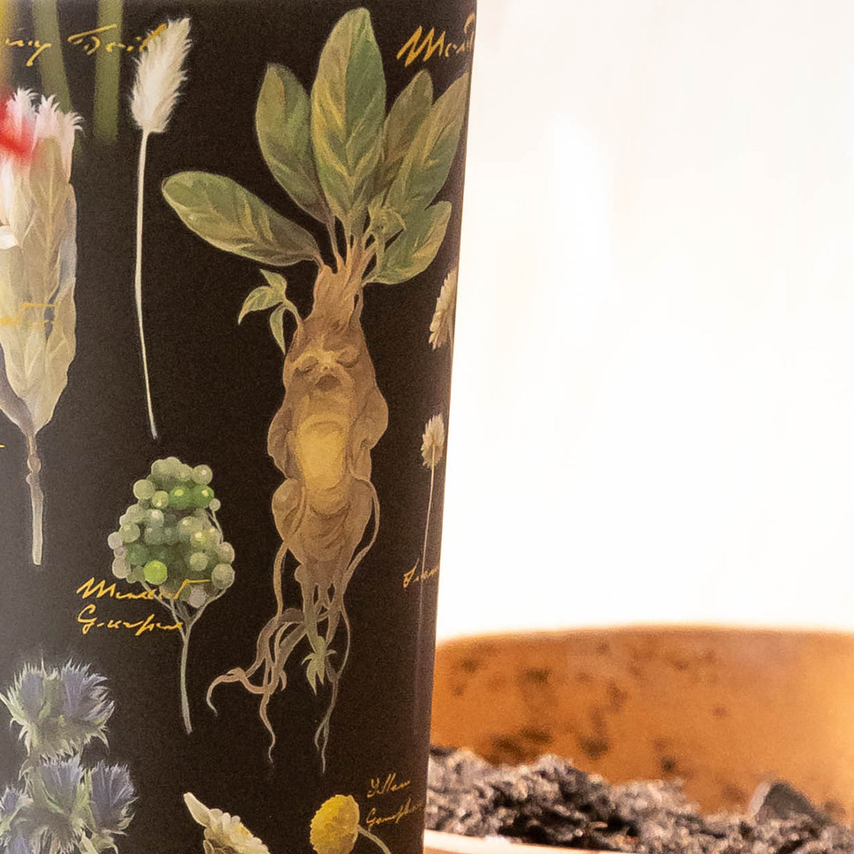 harry-potter-cold-cup-d7 Herbology-3.jpg